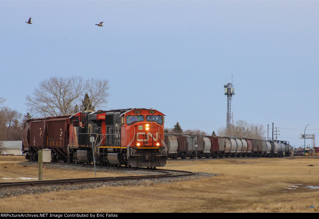 CN L556